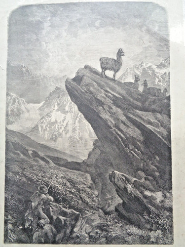 Grande gravure ancienne chasse - gravure,
