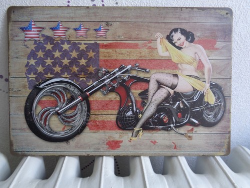 Tole metal moto pin - tole,