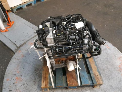 Moteur ford fiesta - moteur,