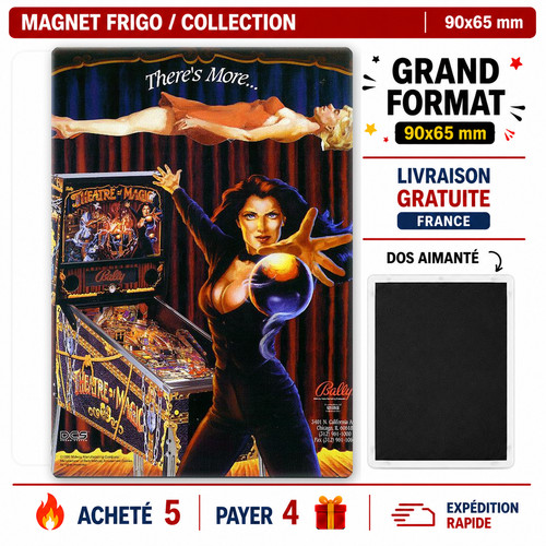 Magnet frigo flipper - frigo,