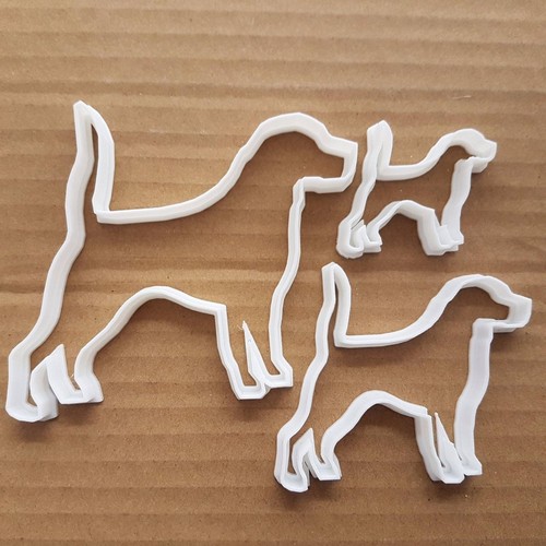 Chien pointer bullmastiff - pointer,