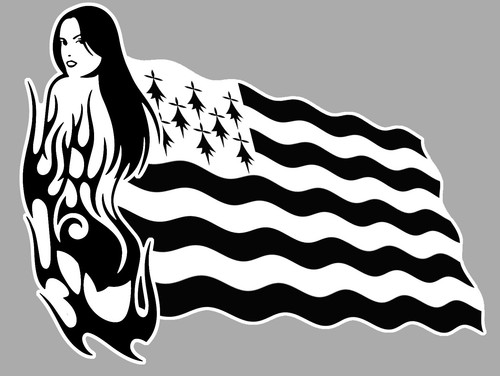 Drapeau breizh breton - drapeau,