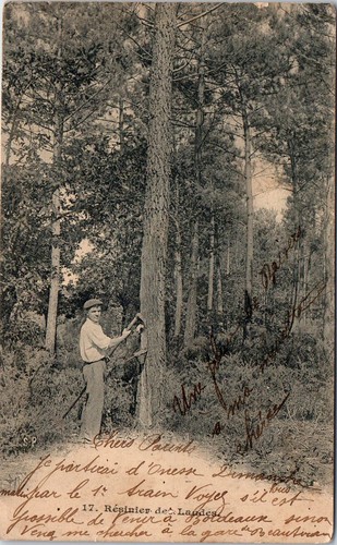 Landes un resinier - 40,