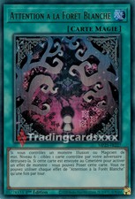 Yu-Gi-Oh! Attention à la Forêt Blanche : UR MP25-FR227