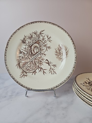 Assiettes plates grand dépôt - plates,