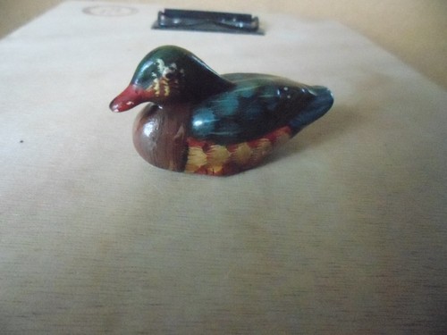 Canard porcelaine coloré - canard,
