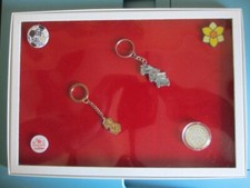 LOT 8 COFFRETS PRESENTOIR-LIVRE 21X29,7cm POUR PIN'S MEDAILLES PIECES PORTE-CLE