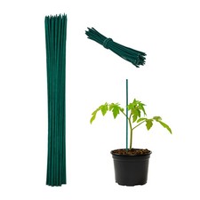 Tuteur tomate Lot 300 Tuteur