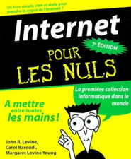 Livre INTERNET  POUR LES NULS