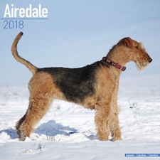 Calendrier 2018 - AIREDALE