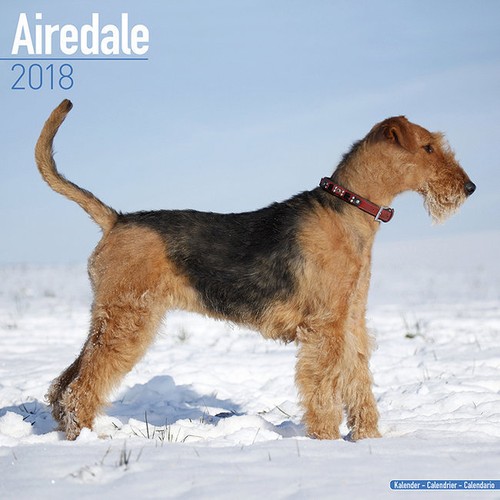 Calendrier 2018 airedale - -,