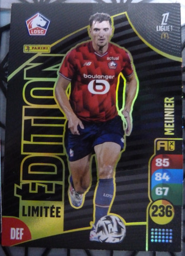 Carte foot panini - panini, xl