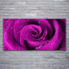 Image sur verre acrylique Tableau Impression 120x60 Floral Rose