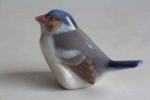 Oiseau pinson porcelaine royal - oiseau,