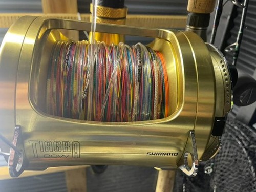 Trolling reel - trolling,