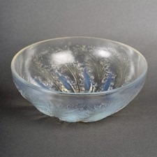 Coupe Chicorée Verre