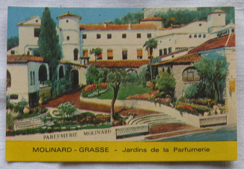 Carte parfumée molinard - carte,