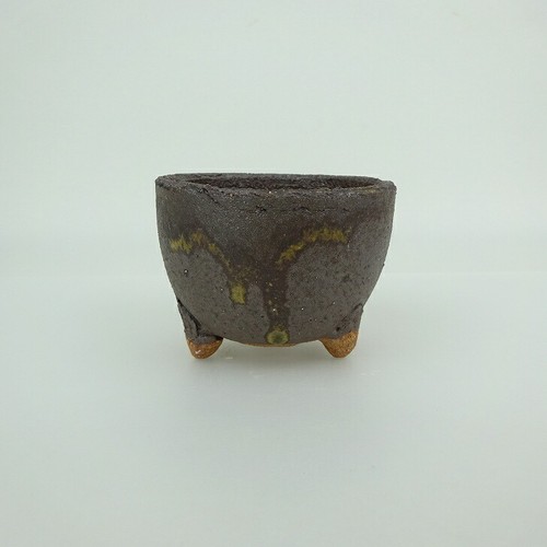 Pot bonsaï japonais - bonsaï,