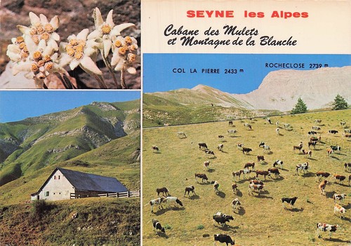Seyne cabane des mulets - cabane, et
