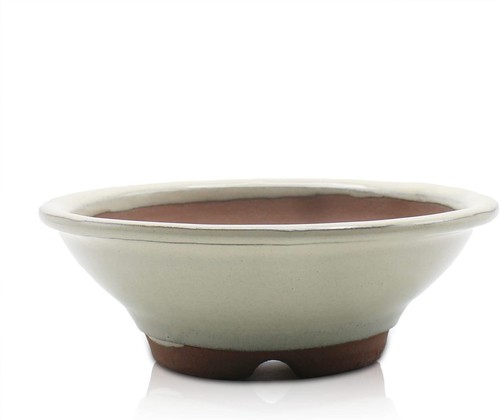 Pot bonsai marujinkasa - pot,