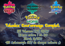 Pokémon Epée Bouclier : 8G Pokedex COURONNEIGE 221 Pokemon NON SHINY