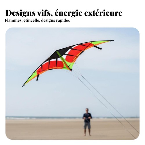 Cerf volant acrobatique adulte - cerf-volant,