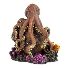 Underwater Treasures Reef