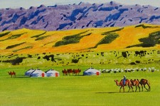 MONGOLIE ! peinture sur toile