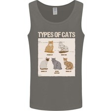 Types chat persan siamois - de,