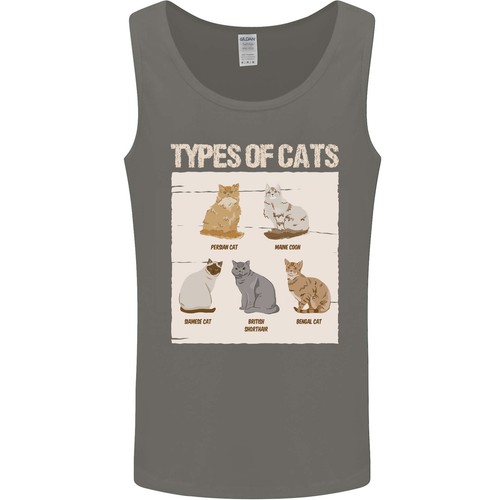 Types chat persan - types,