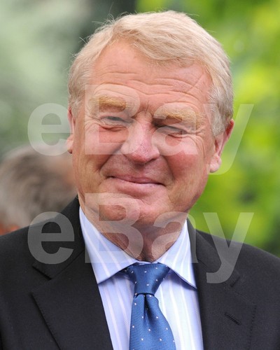 Photo 10x8 paddy - paddy, ashdown