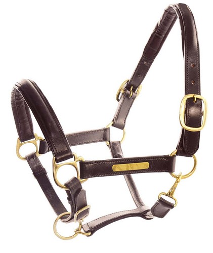 Carrière cuir double avec - carrière,