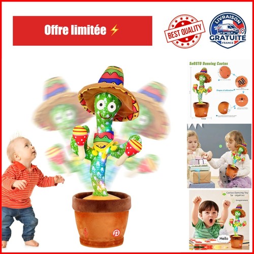 Cactus qui danse - cactus,
