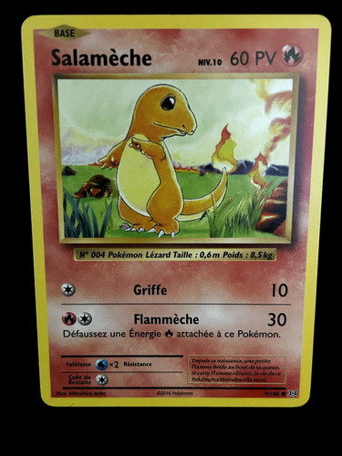Carte pokemon salameche xy - pokemon,