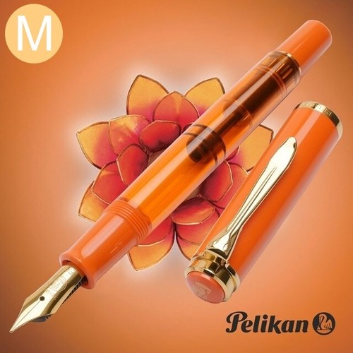 Stylo plume pelikan - plume,