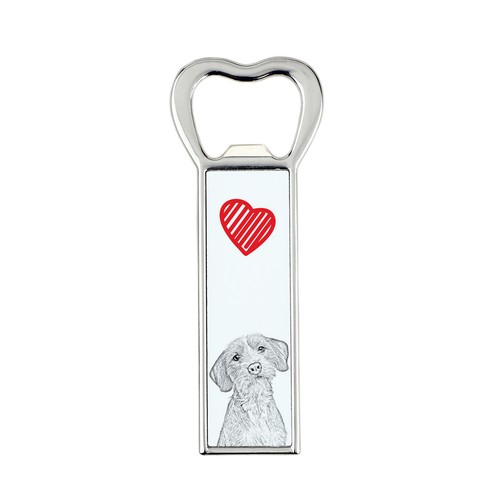 Basset fauve bretagne - basset,