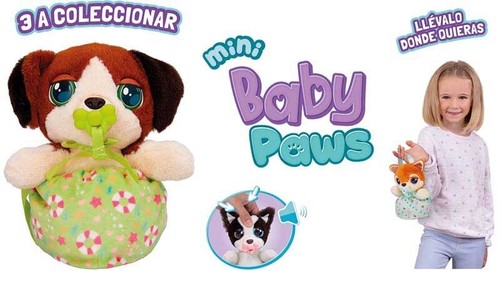 Mini chiots pattes bébé - pattes,