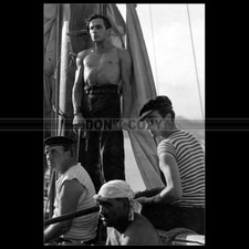 Photo F.006742 SAMSON