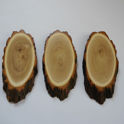 Pièces plaques trophée - plaques, de