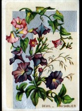 PARIS (IX°) IMAGE CHROMO