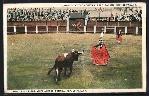 Vista alegre panama bull - alegre,