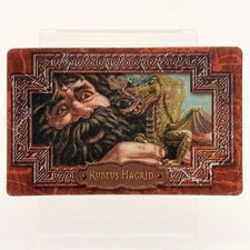 Harry Potter Rubeus Hagrid