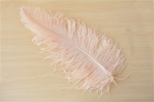 Long Mariage Fête Costume