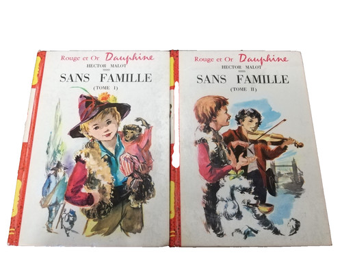 Sans famille hector malot - sans,