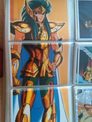 Saint seiya caballeros del - saint,