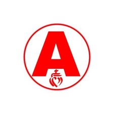 A jeune conducteur apprenti