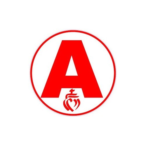 Jeune conducteur apprenti - conducteur,