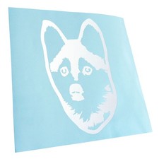 Autocollant Pomsky Chien