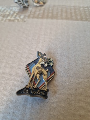 Broche ski esf - -,