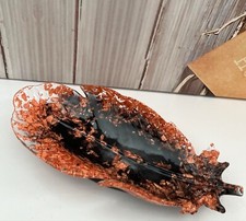 Vide poche plume noir et